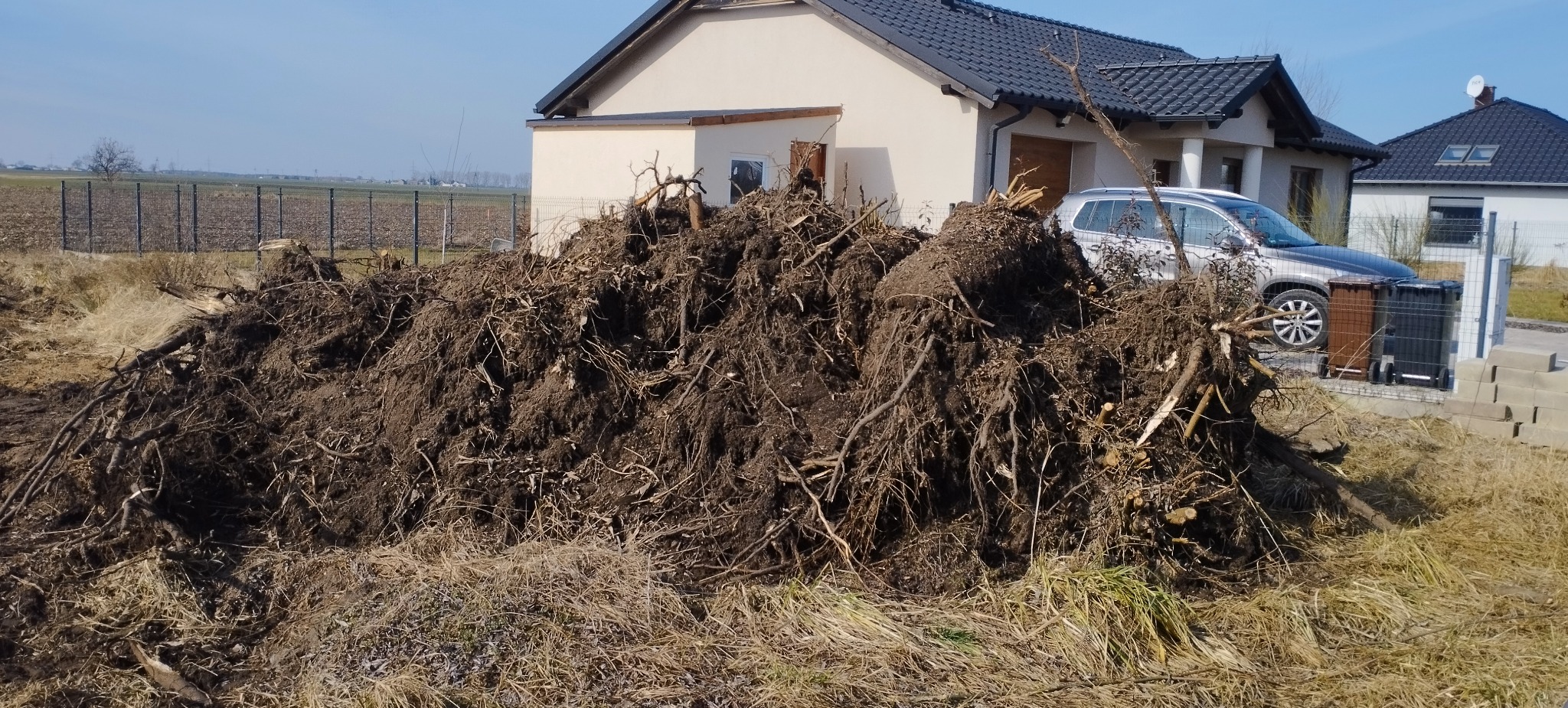 Kupa korzeni i ziemi po wycince drzew na tle domu jednorodzinnego i ogrodzenia z siatki. Widoczne pnie i resztki gałęzi.