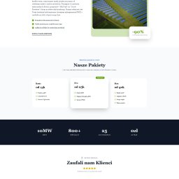 Tworzenie stron internetowych Elbląg 2