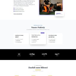 Tworzenie stron internetowych Elbląg 3