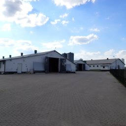 Biuro Obsługi Nieruchomości Dębscy Tadeusz Dębski - Rozległy kompleks budynków gospodarczych z otwartymi wrotami, widziany z brukowanego placu w słoneczny dzień. Widoczne silosy i ogrodzenie.