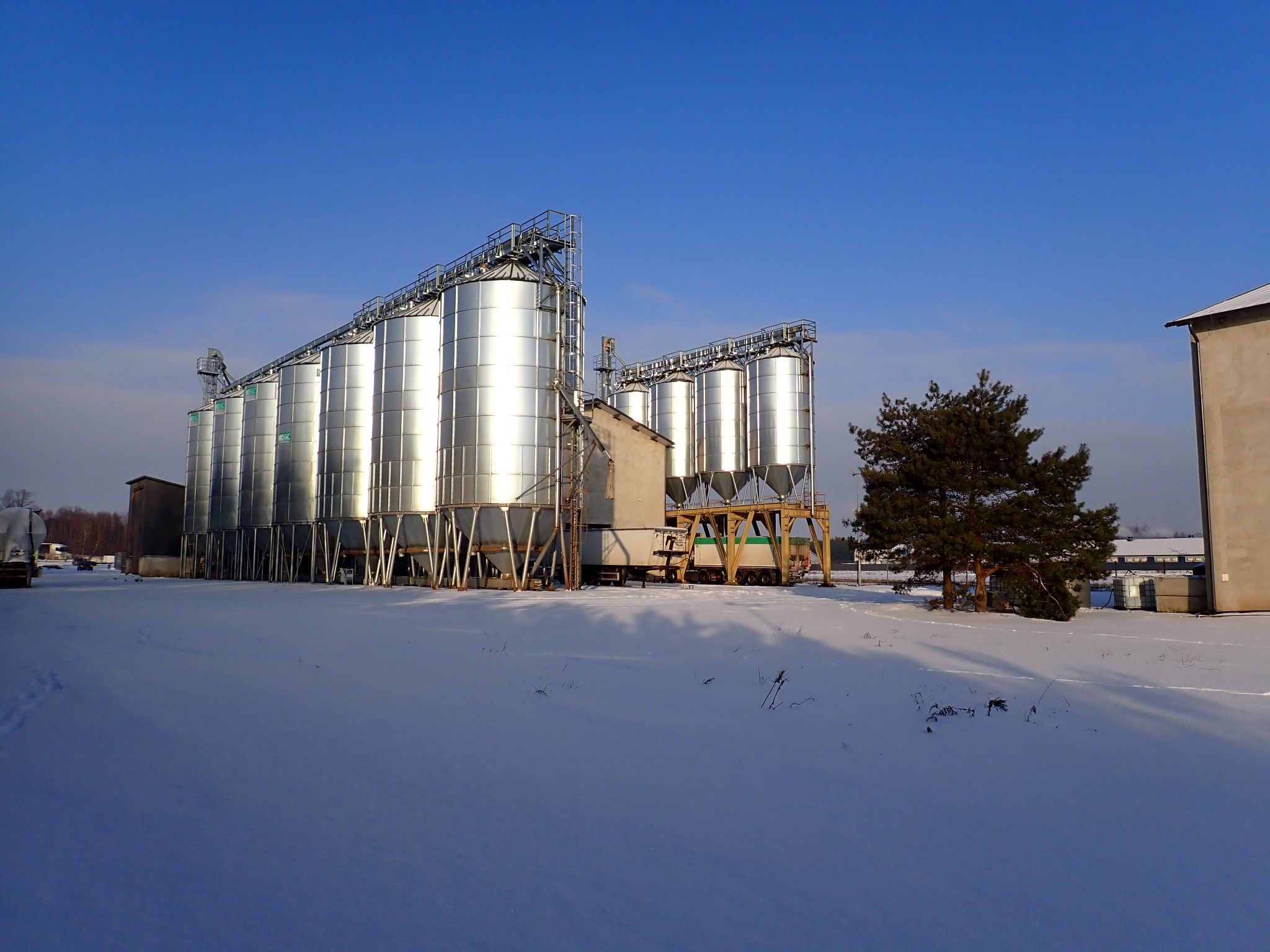 Srebrzyste silosy zbożowe w zimowym krajobrazie, pod błękitnym niebem. Widoczne elementy konstrukcyjne i biały śnieg. Charakterystyczna sceneria przemysłowa.