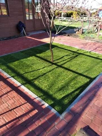 Kwadratowy trawnik z młodym drzewkiem, obramowany czerwoną kostką brukową, przylegający do drewnianego budynku. Cień drzewa na trawie.