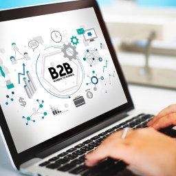 Moduł b2b
