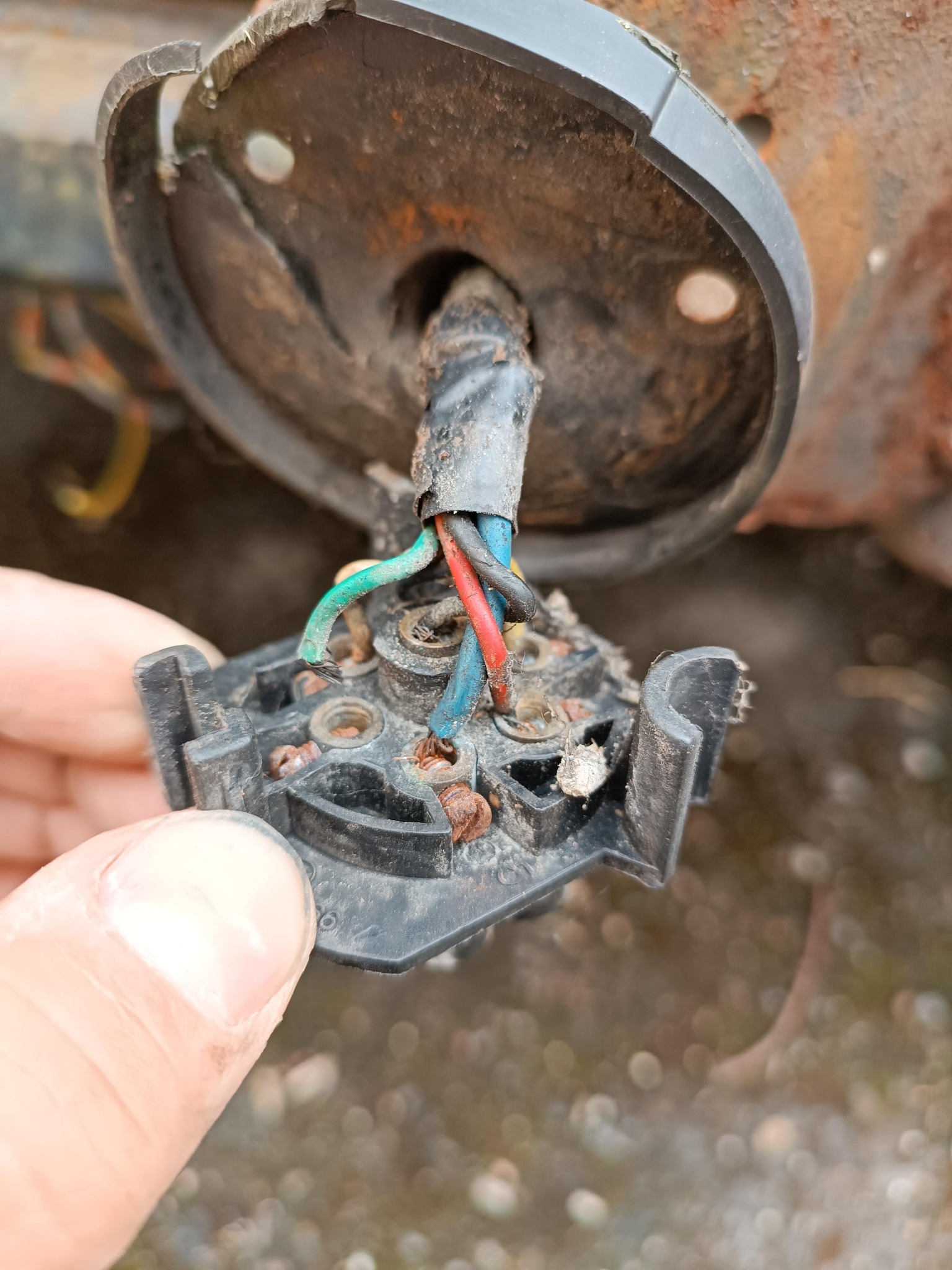 Uszkodzona, skorodowana instalacja elektryczna z widocznymi przewodami w kolorach: zielonym, czerwonym i niebieskim, trzymana w dłoni. Widoczne ślady rdzy.