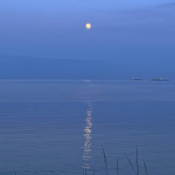 Marika Pytlewska - Nastrojowy krajobraz morski o zmierzchu z widocznym odbiciem księżyca w spokojnej wodzie. Na horyzoncie statki, a na pierwszym planie trawy na piaszczystej plaży.