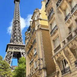 Paryski krajobraz z wieżą Eiffla w tle, widzianą spomiędzy drzew i kamienic z balkonami. Ujęcie z dołu podkreśla monumentalność budowli.