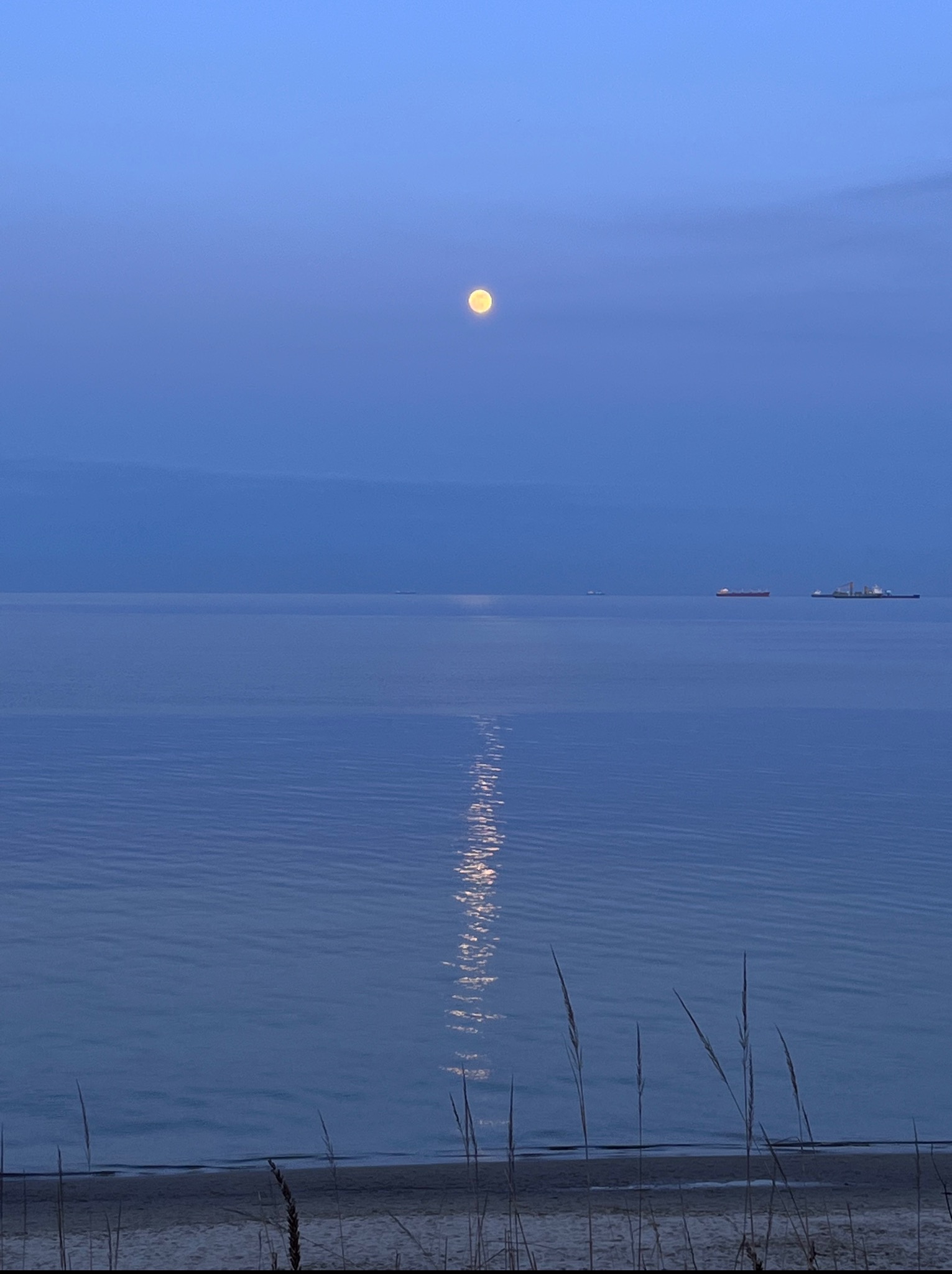 Nastrojowy krajobraz morski o zmierzchu z widocznym odbiciem księżyca w spokojnej wodzie. Na horyzoncie statki, a na pierwszym planie trawy na piaszczystej plaży.