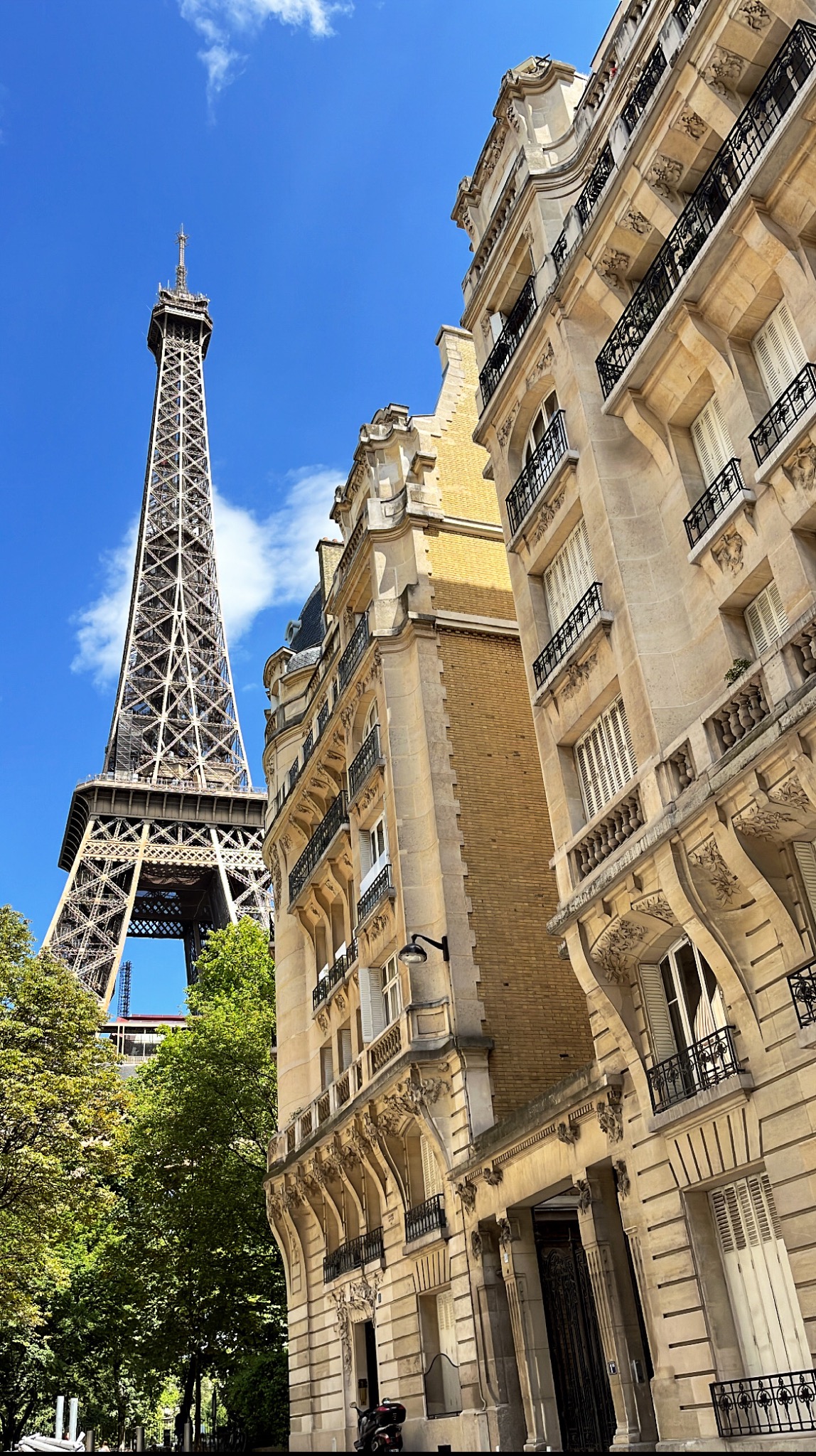 Paryski krajobraz z wieżą Eiffla w tle, widzianą spomiędzy drzew i kamienic z balkonami. Ujęcie z dołu podkreśla monumentalność budowli.