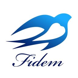 Fidem Finanse sp. z o.o. - Wirtualne Biuro Poznań