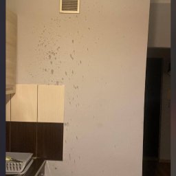 Remonty mieszkań Templewo 1