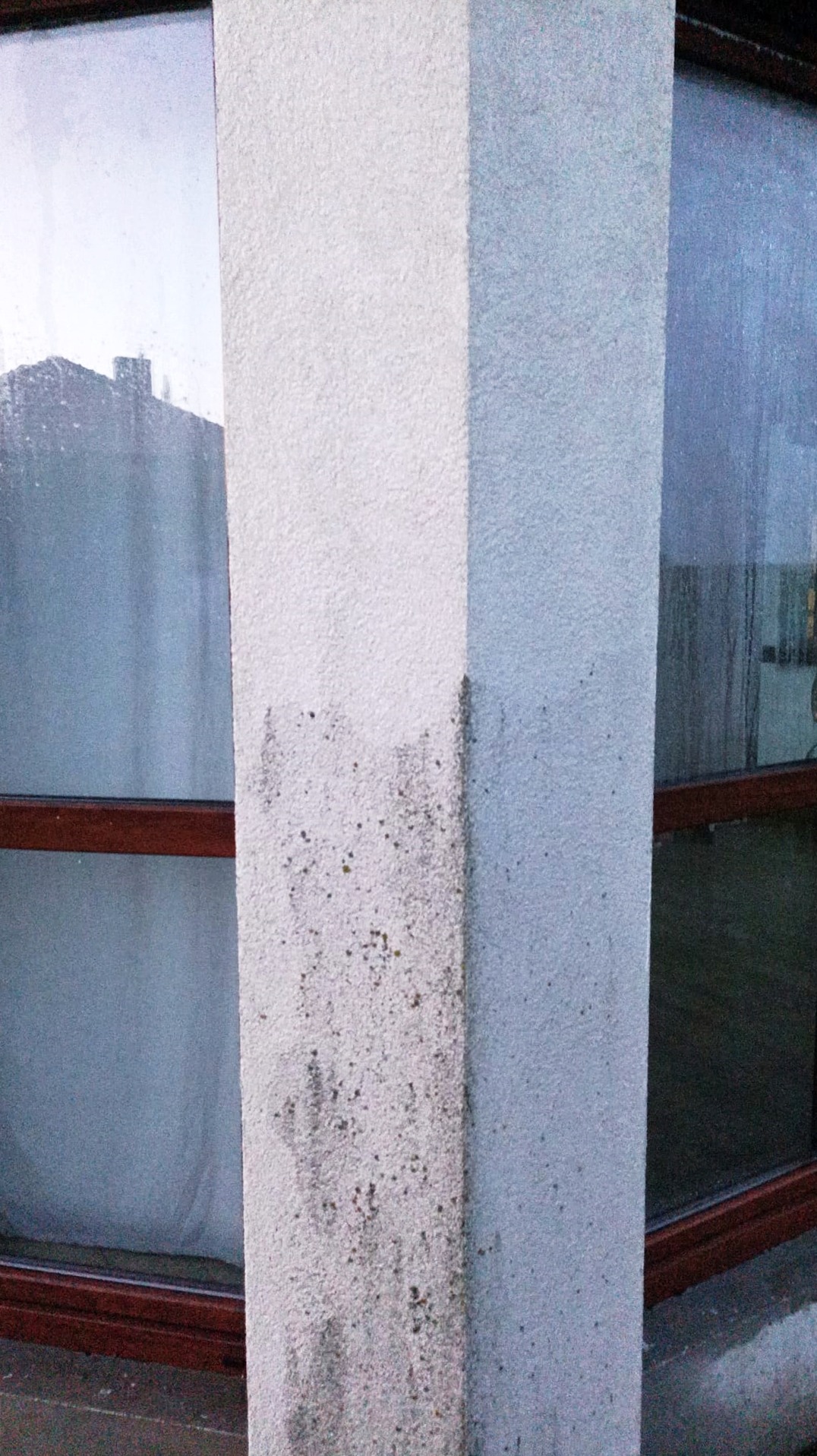 Fragment elewacji z widocznymi zabrudzeniami i śladami wilgoci, przylegający do okna z brązową ramą. Tekstura ściany jest chropowata, a kolor nierównomierny.