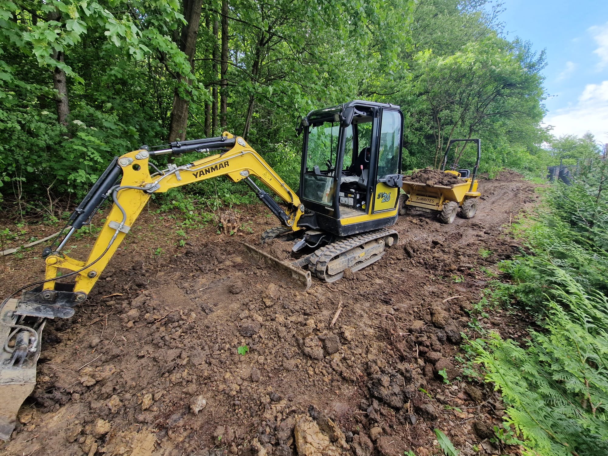 Żółto-czarna mini koparka Yanmar z łyżką i wywrotka Thwaites na grząskim terenie, w tle zielona roślinność i drzewa, błękitne niebo.