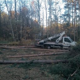 Wycinka drzew Mstów 3