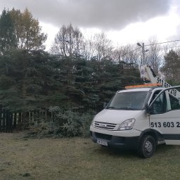 Drew-Wart - Biały podnośnik koszowy Iveco na tle wysokich, gęstych drzew iglastych i pochmurnego nieba. Widoczne ścięte gałęzie na trawie. Otwarta kabina z numerem telefonu.