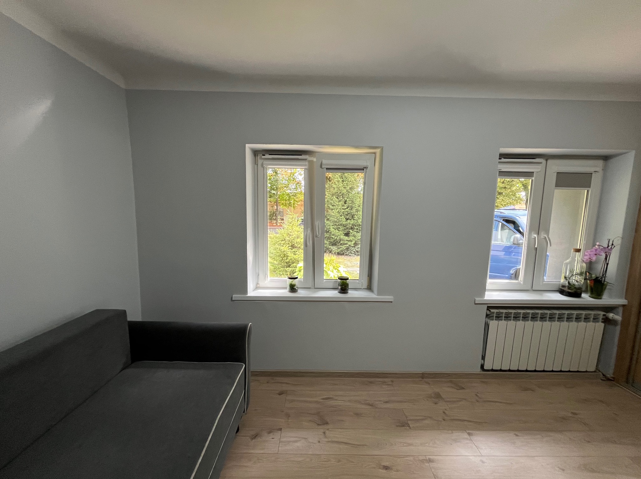 Jasnoszary pokój po malowaniu: drewniana podłoga, szara sofa, dwa okna z roślinami i grzejnikiem. Świeżo pomalowane ściany w neutralnym odcieniu.