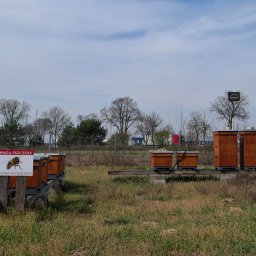 Magazynowanie i przechowywanie Dąbrówka 3