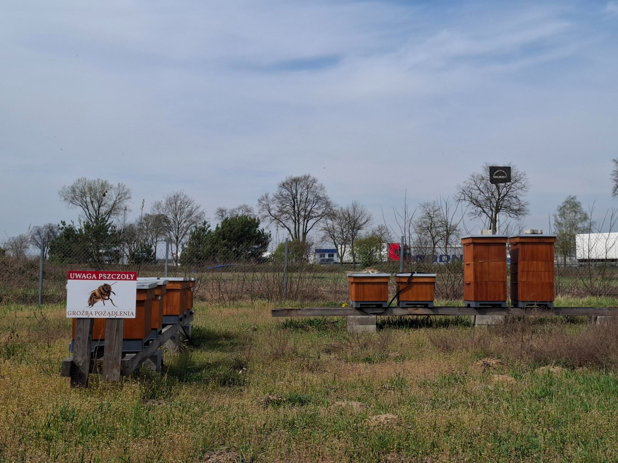 Ule na łące z tabliczką ostrzegawczą 'Uwaga pszczoły'. W tle widoczne drzewa i budynki. Ule ustawione w rzędach, brązowe, na drewnianych konstrukcjach.