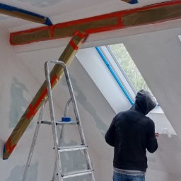 Wykonanie elewacji Drzewica 4