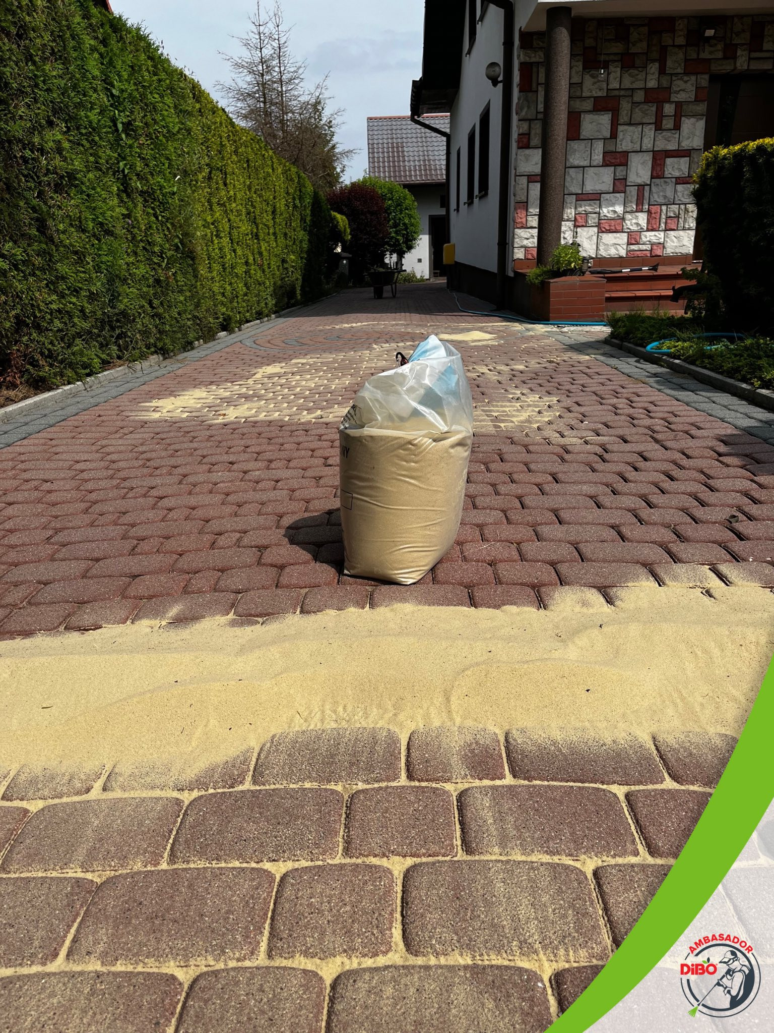 Czerwona kostka brukowa z rozsypanym piaskiem kwarcowym, częściowo wypełnione fugi. W tle zielony żywopłot i fragment budynku z dekoracyjną elewacją.