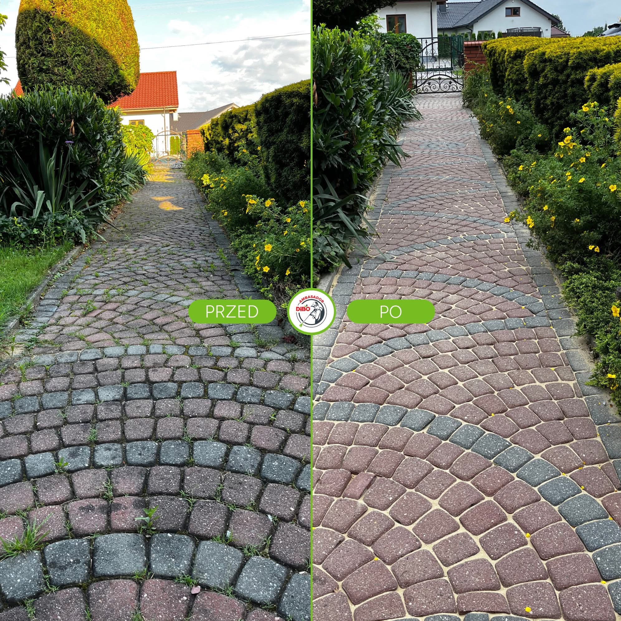 Zdjęcie kostki brukowej przed i po czyszczeniu, z widoczną różnicą w kolorze i brakiem chwastów po prawej stronie. Ujęcie z poziomu chodnika, z zielenią w tle.