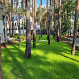 Zakładanie ogrodów Ząbki 2