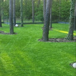 Zakładanie ogrodów Ząbki 1