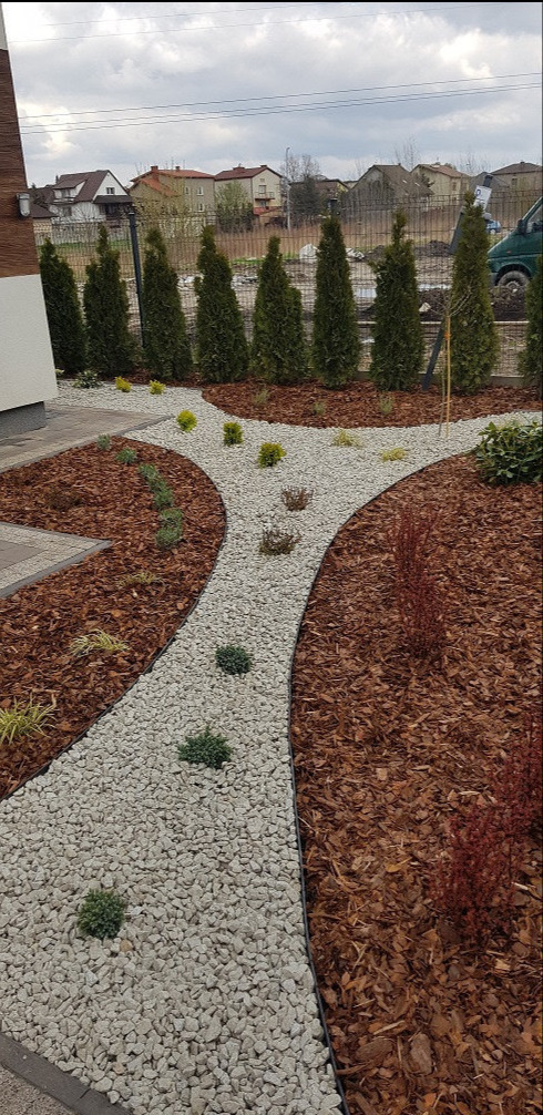 Ścieżka z białego żwiru rozwidla się w ogrodzie, otoczona korą drzewną i niskimi roślinami. W tle rząd wysokich, zielonych tuj.