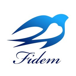 FIDEM WERONIKA DYLAK-SZATURSKA - Firma Księgowa Poznań