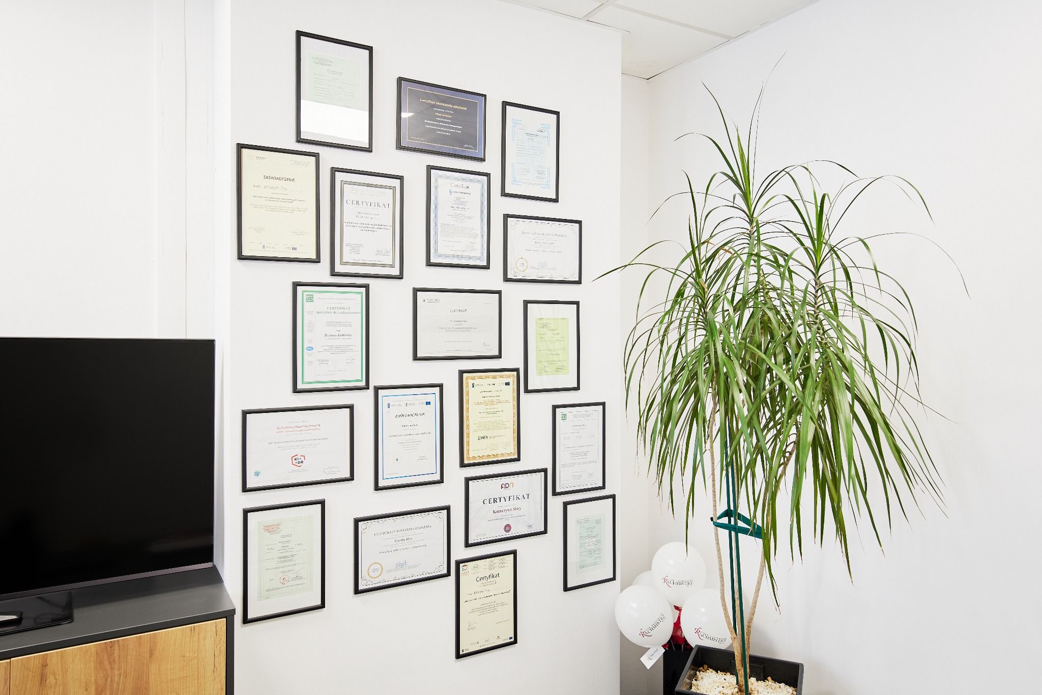 Ściana biura z licznymi certyfikatami i dyplomami w czarnych ramkach, obok donica z rośliną i balonami. Widoczny fragment szafki RTV z telewizorem.