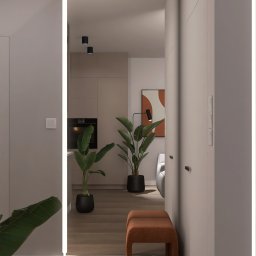 Projekt przestrzeni dziennej z kuchnią