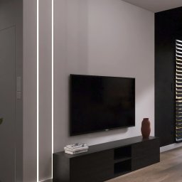 Projekt przestrzeni dziennej z kuchnią