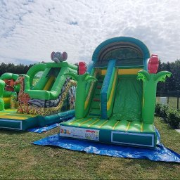 Dmuchańce Brzozowiec 4