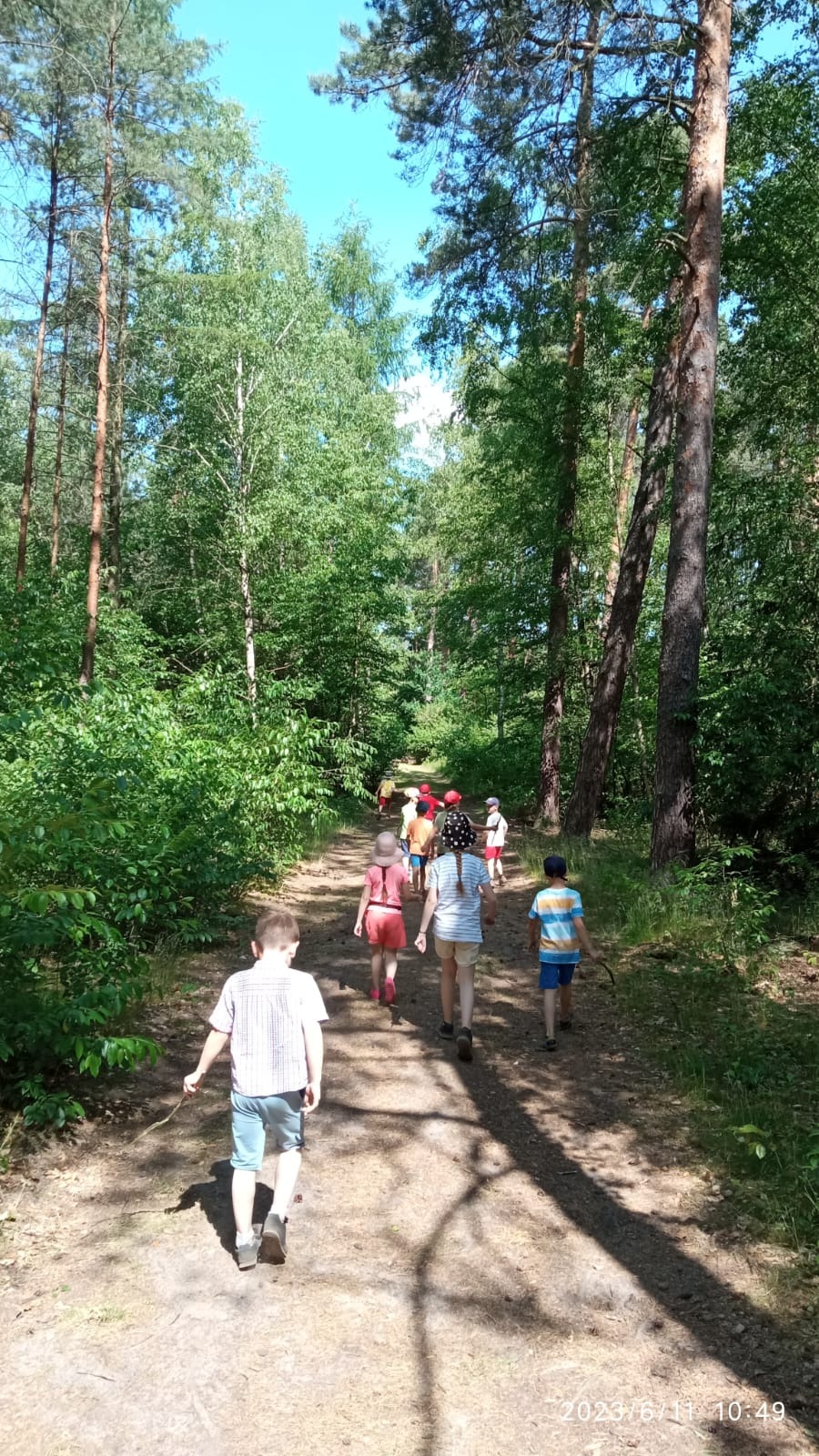 Grupa dzieci z tyłu idzie leśną ścieżką w słoneczny dzień, niektóre mają czerwone nakrycia głowy, a jeden z nich trzyma patyk.