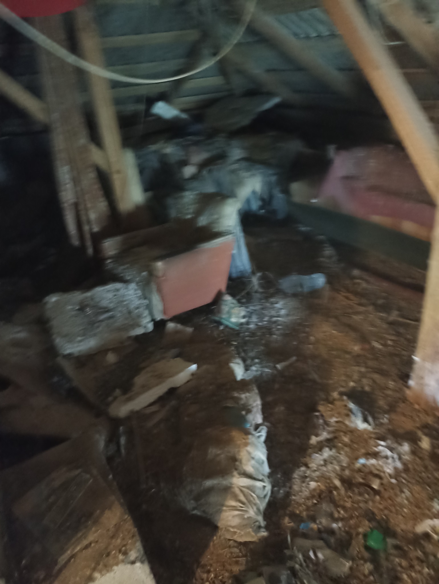 Zagracony strych z gruzem, starymi meblami i śmieciami pod skośnym, drewnianym dachem. Widoczny fragment wanny i worki z odpadami. Niska jakość zdjęcia.