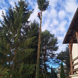 Marcin Bryła - Usługi w ogrodzie Sandomierz