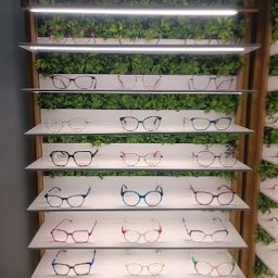 OPTYK KATOWICE Optyk.com OPTOMETRYSTA - Regał z okularami marki Etnia Barcelona, z roślinnym tłem. Różne modele i kolory oprawek na białych półkach z oświetleniem LED.