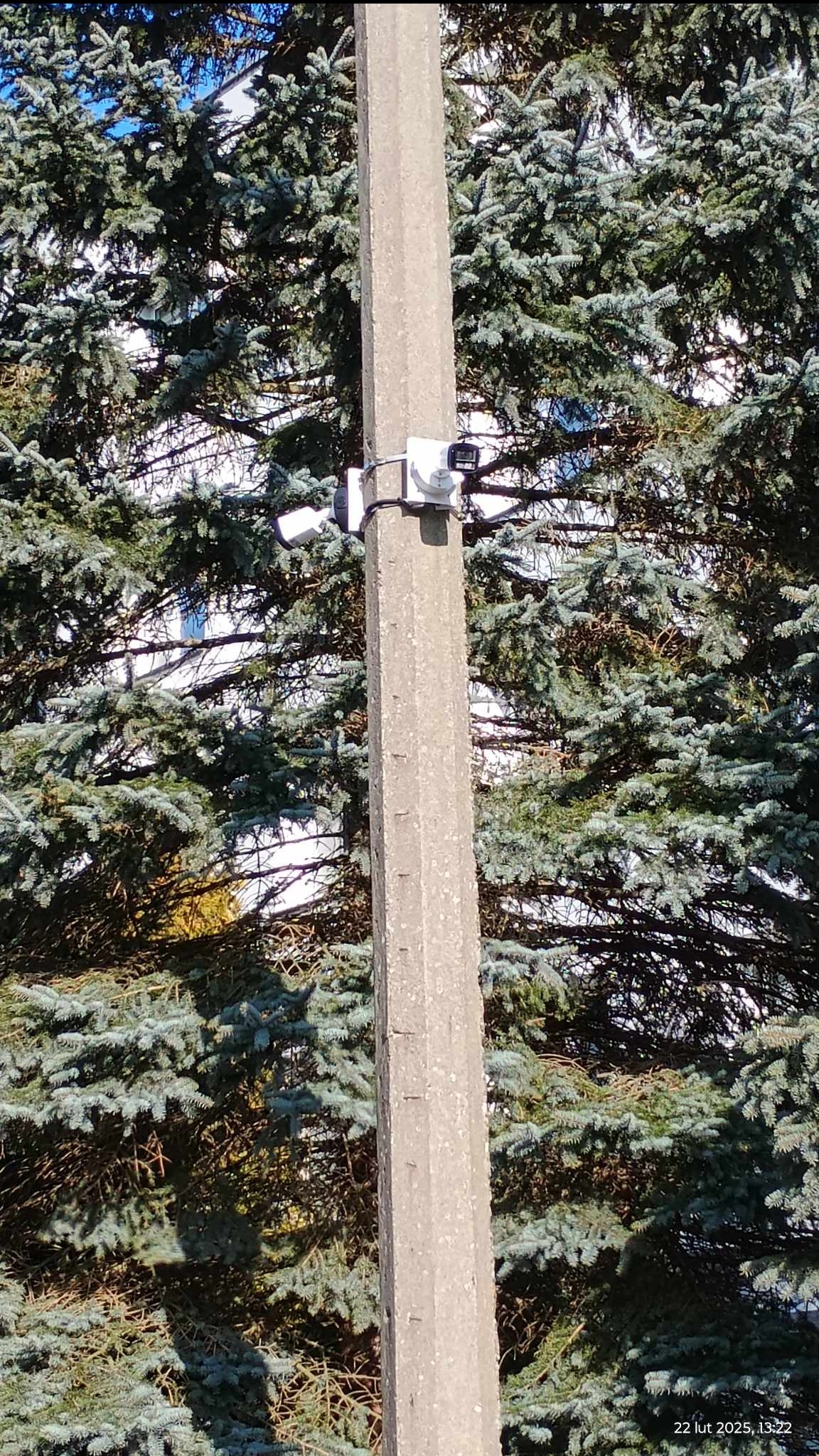 Dwie kamery monitoringu zamontowane na betonowym słupie na tle drzew iglastych i budynku. Kamery w białych obudowach, skierowane w różne strony.
