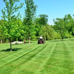 Mistrzowie - Osoba na czerwonej kosiarce tnie trawę na zielonym trawniku, tworząc równoległe pasy. W tle drzewa i błękitne niebo.