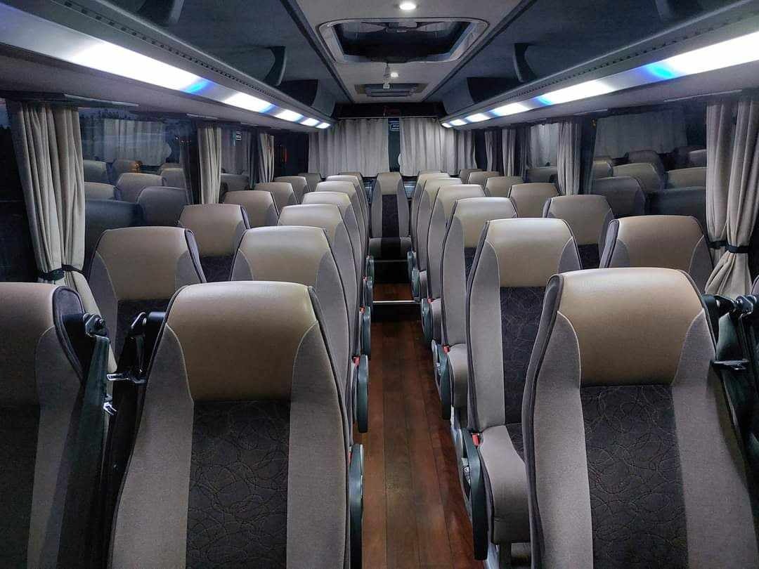 Wnętrze luksusowego autobusu z rzędami beżowo-szarych foteli, drewnianą podłogą i oświetleniem LED pod sufitem. Widok na puste siedzenia i zasłonięte okna.