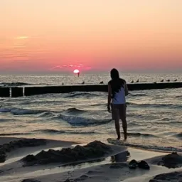 Osoba stoi w wodzie na plaży, obserwując zachód słońca nad morzem. Na horyzoncie widoczne ptaki siedzące na drewnianym falochronie.