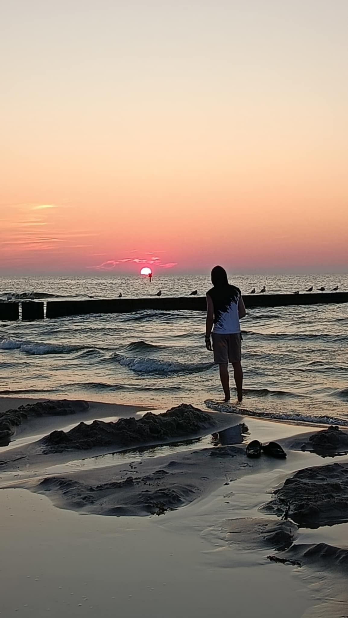 Osoba stoi w wodzie na plaży, obserwując zachód słońca nad morzem. Na horyzoncie widoczne ptaki siedzące na drewnianym falochronie.