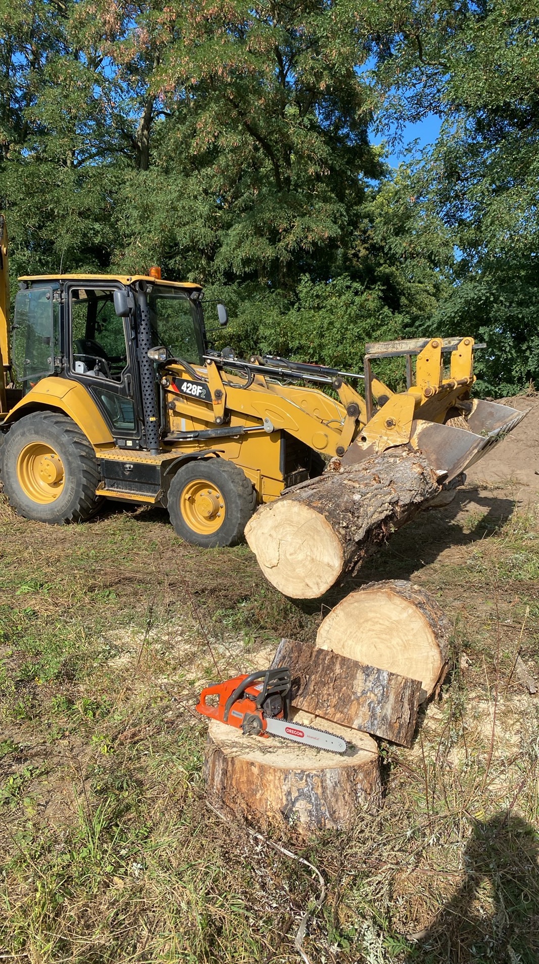 Żółta koparko-ładowarka 428F2 podnosi kłodę drewna, obok leżą pocięte kawałki i piła łańcuchowa. W tle zielone drzewa, błękitne niebo. Dzień.