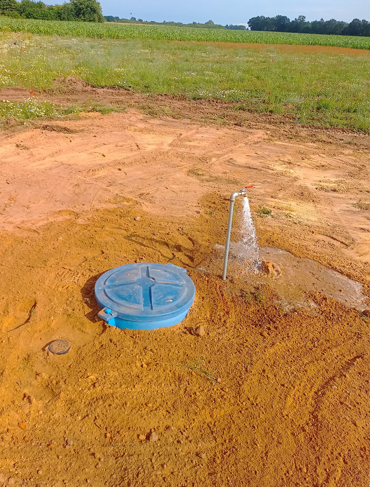 Niebieska pokrywa studni obok kranu z płynącą wodą na ziemi, w tle pole i drzewa, ujęcie z bliska.