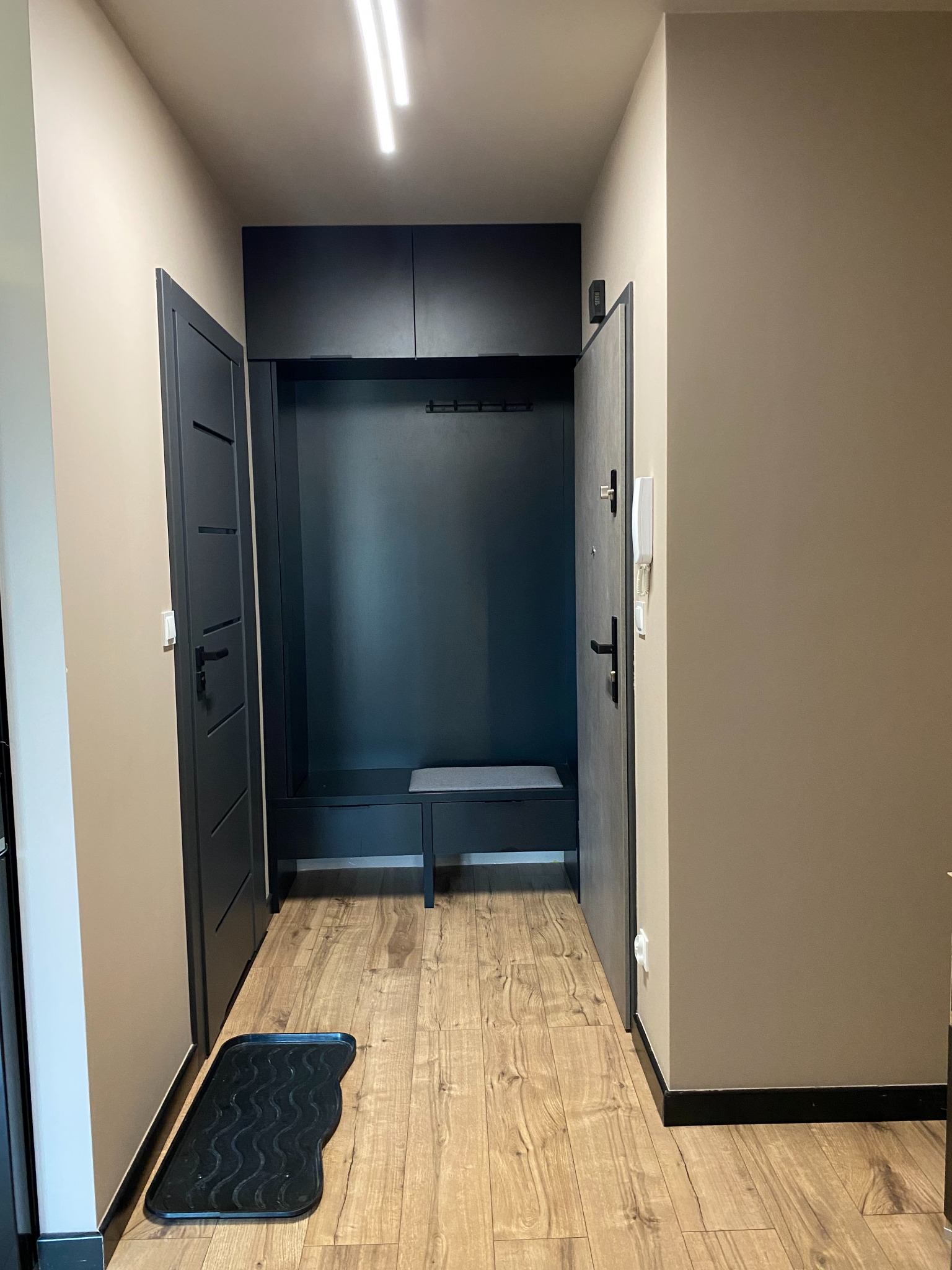 Nowoczesny przedpokój z zabudową w kolorze grafitu, drewnianą podłogą i beżowymi ścianami. Widoczne drzwi wejściowe i wewnętrzne, oświetlenie sufitowe.