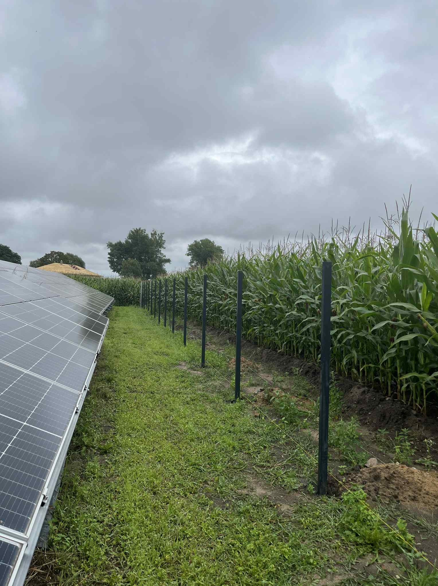 Montaż płotu segmentowego lub z siatki.