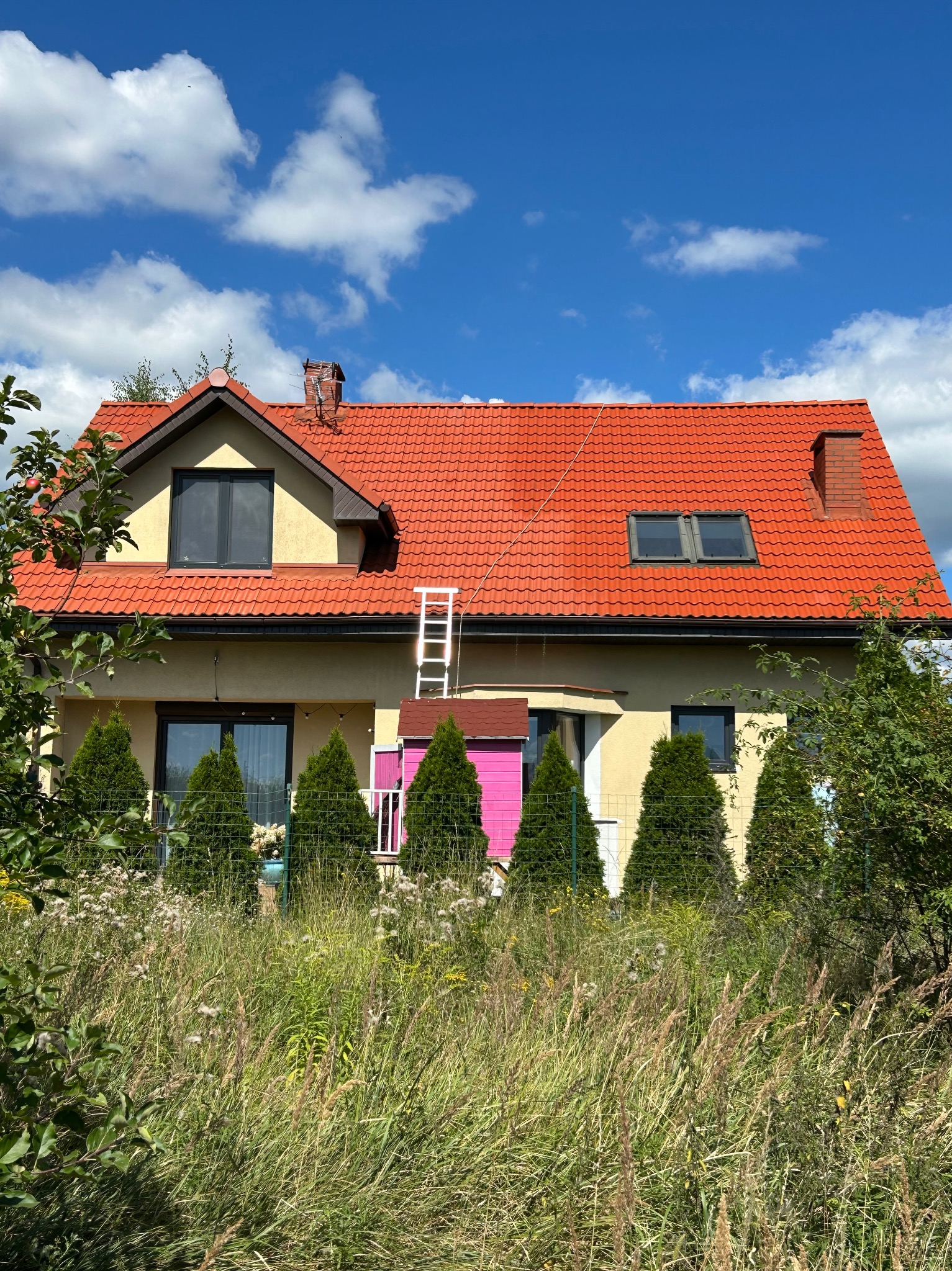 Dom jednorodzinny z czerwonym dachem z dachówki, na którym oparta jest aluminiowa drabina. Na pierwszym planie wysoka trawa i iglaki.