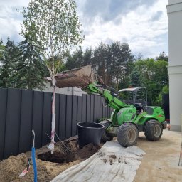 Zielony Styl - Zielony miniładowarka sadzi drzewo w wykopanym dole obok czarnego ogrodzenia i białego budynku. W tle widoczne drzewa i pochmurne niebo.