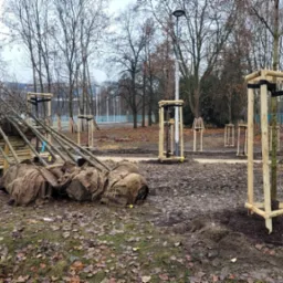 Sadzenie i palikowanie drzew