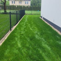 Zielony Styl - Zadbany trawnik z rolki przylegający do nowoczesnego domu, oddzielony od sąsiada metalowym ogrodzeniem, z obrzeżem z jasnych kamyków. Widoczne ślady po kosiarce.