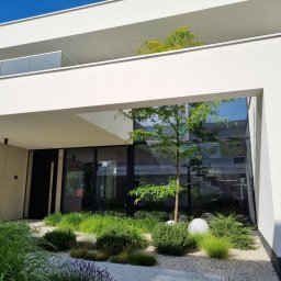 Zielony Styl - Nowoczesny ogród z drzewem i ozdobnymi krzewami przed minimalistycznym domem z dużymi przeszkleniami, oświetlony naturalnym światłem.